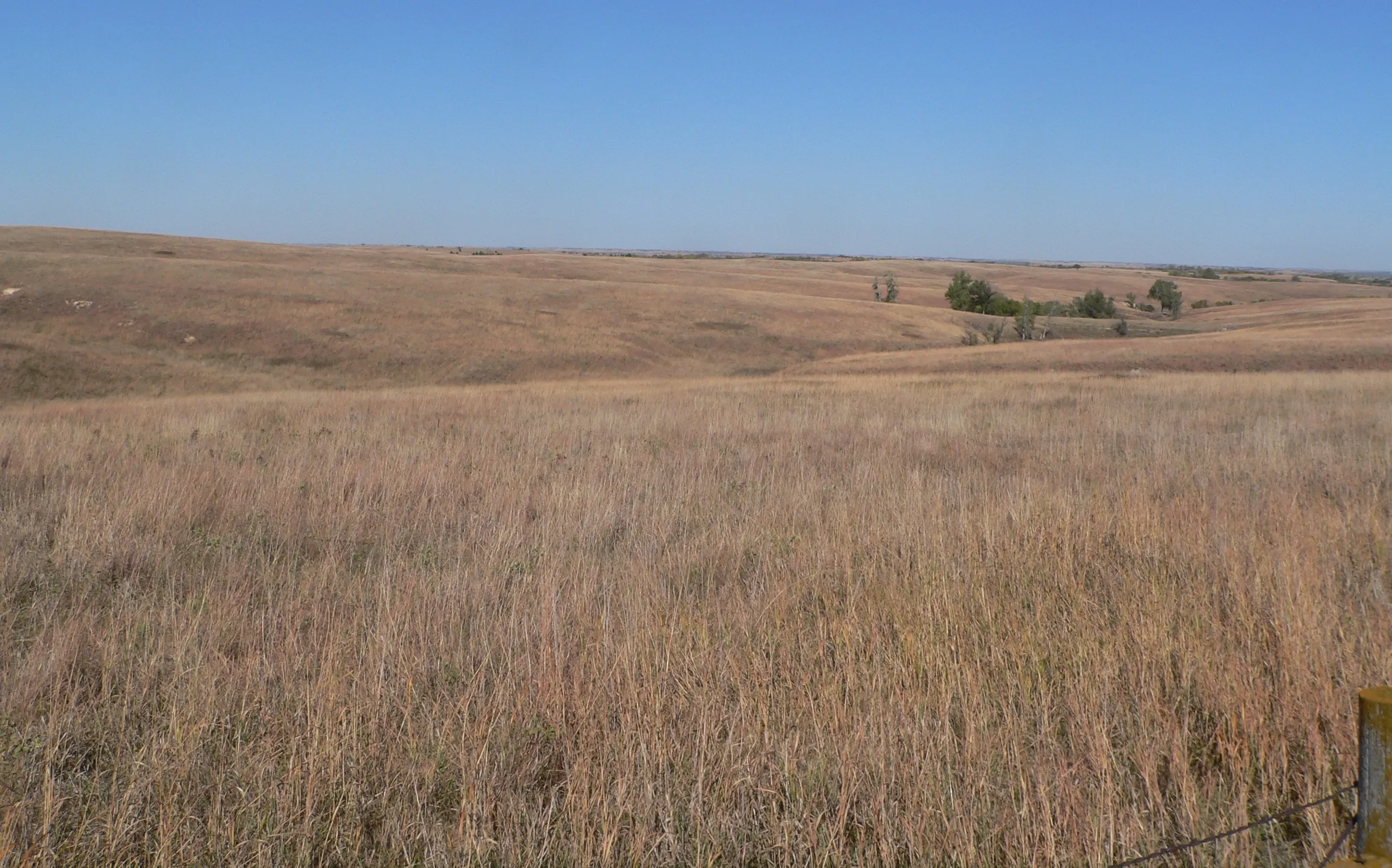 A prairie highway under a big Alberta sky